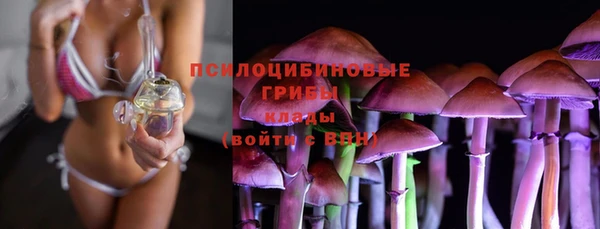 спиды Алзамай