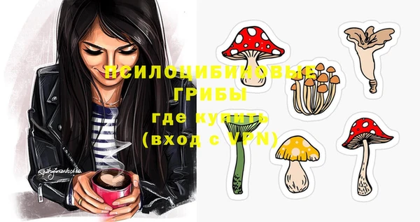 дмт Алексеевка